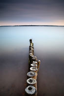 Evening Light, Lepe