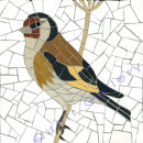 Goldfinch SOLD