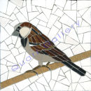 Sparrow