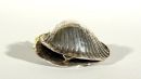 Clam Shell Pendant