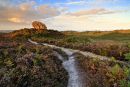 Late Summers Evening, Agglestone Rock