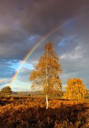 Rainbow, Mogshade Hill 2