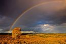 Rainbow, Mogshade Hill