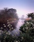 Spring Mist on the River Frome