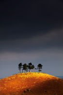 Stormy Afternoon, Colmer's Hill