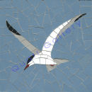 Tern SOLD