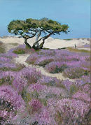 Heather Studland