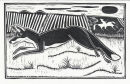 Fox, Osmington
