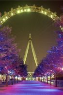 The London Eye, Summer Evening