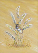 Harvest Treasure