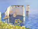 Old Harry with Daisies