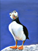 Little Puffin