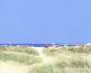Shell Bay, Studland