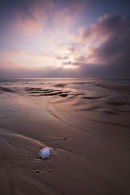 Daybreak, Shell Bay, Studland