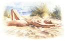Summer Sun