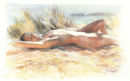 Summertime, Studland