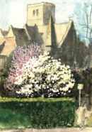 That Magnolia in King's Road