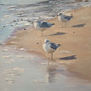Three Gulls SOLD