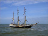 Tree Mast Sailing Ship