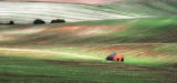 The Wolds
