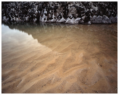 Rockpool, Gower