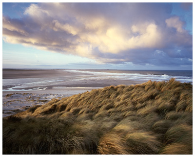 Budle Bay