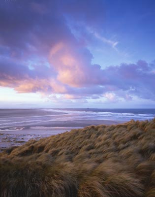 Budle Bay
