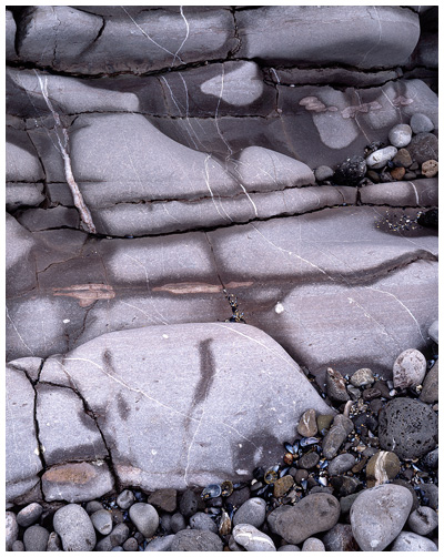Rock Detail, Worms Head