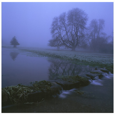 Chalk Stream in Winter