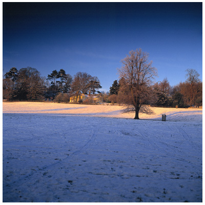 Winter Sunrise