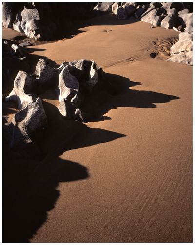 Mewslade