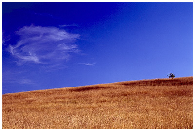 Ivinghoe Beacon