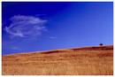 Ivinghoe Beacon