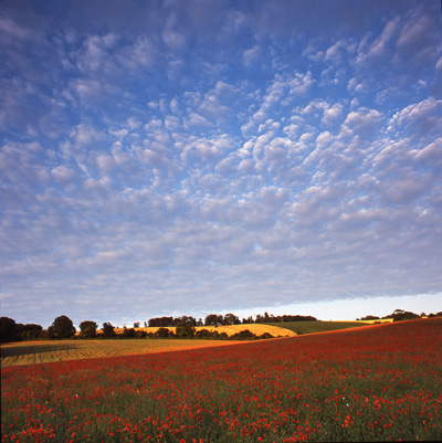 Summer Evening