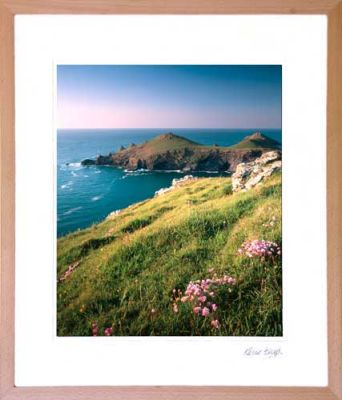 The Rumps