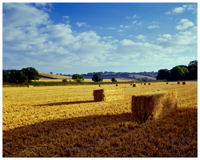 Farmland nr. Smalldean 