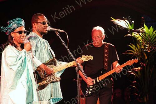 Amadou & Mariam at a secret gig with David Gilmour