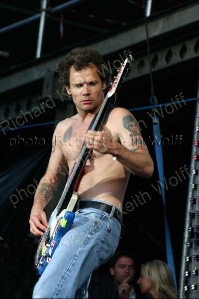 FLEA / Red Hot Chili Peppers
