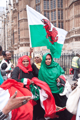 Welsh flag