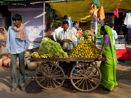 Oranges 100 Rupees a kilo, Karauli Market