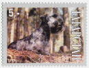 Tartarstan Stamp, 1999