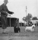 Mr Horak with Scottish and Sealyham Terriers
(Photograph courtesy of Jitka Paulinova)