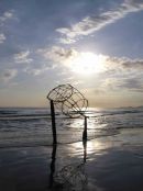 Fish trap