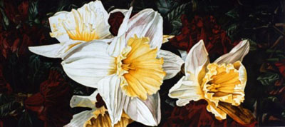 Ref.G13:Narcissus.
