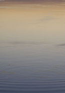 Slight ripple