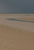 Beach abstract I
