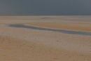 Beach abstract III