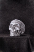 New York Skull
