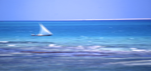 Blue Zanzibar.