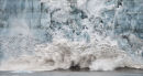 Calving Glacier and Kittywakes